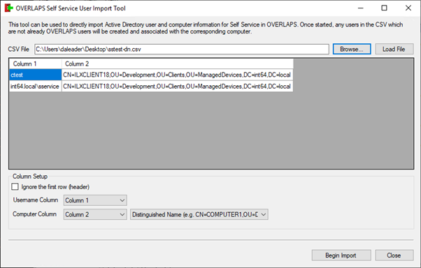 A screenshot of the Self-Service Import Tool showing an example of imported data.