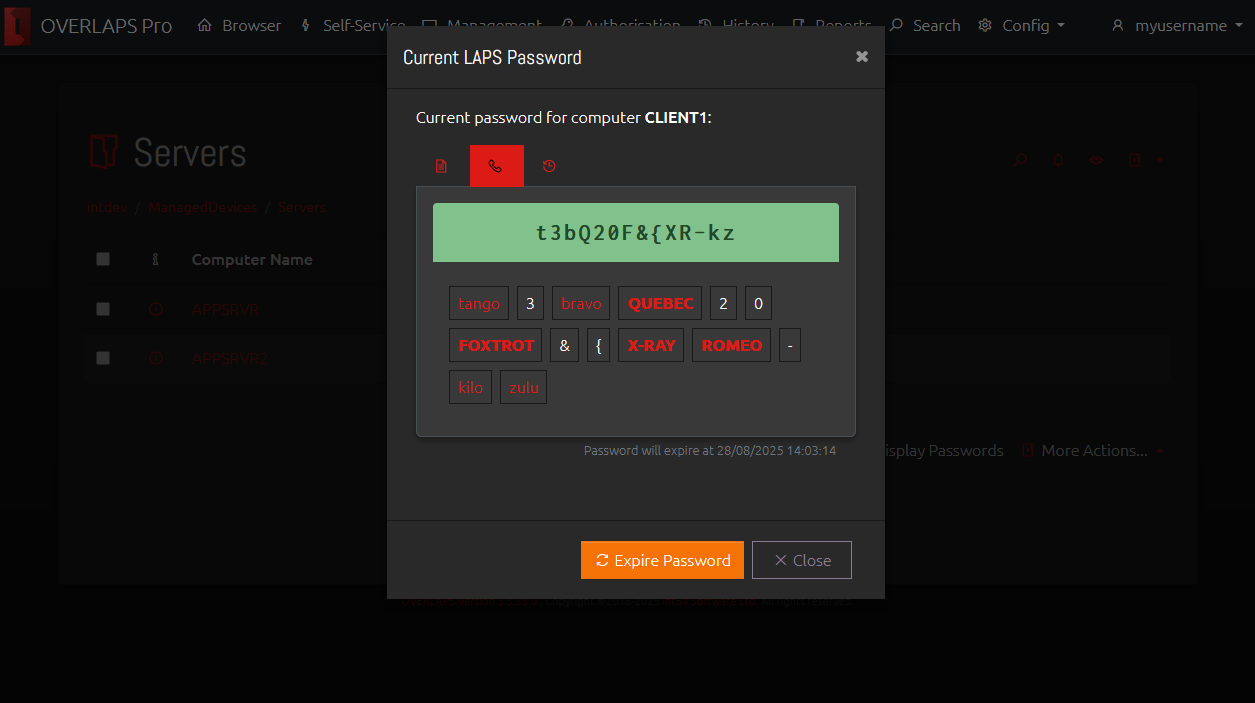 Phonetic Password View